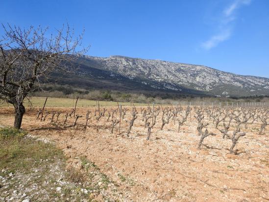 La Pierre Plantée (au fond, la Séranne)