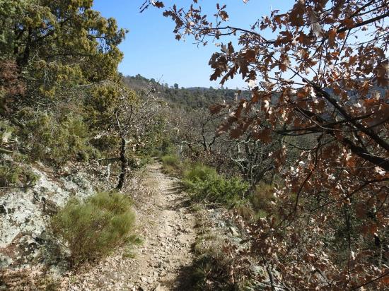 Descente dans le ravin du ruisseau de Préneuf