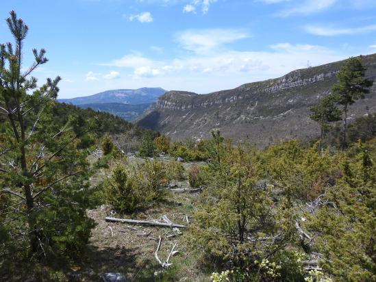 La montagne de l'Eyriau et Angèle vues depuis l'Assotte