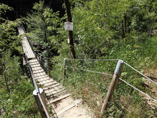 La passerelle sur la Daronne (Saint-Sorny)