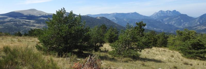 Depuis les crêtes de la montagne d'Aucelon, vue sur la Servelle, Couspeau et les Trois-Becs