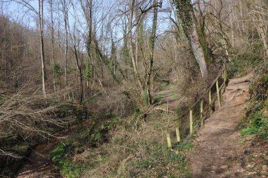 Le long du ruisseau de Riverolles