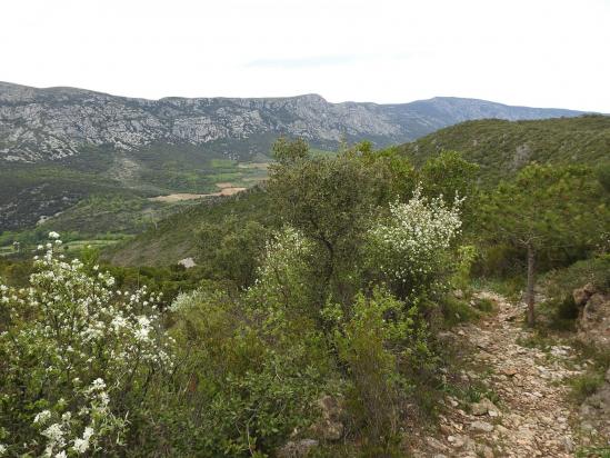 Sur le causse de la Selle face à la Séranne