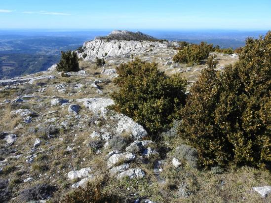 Traversée du Plan de la Crau