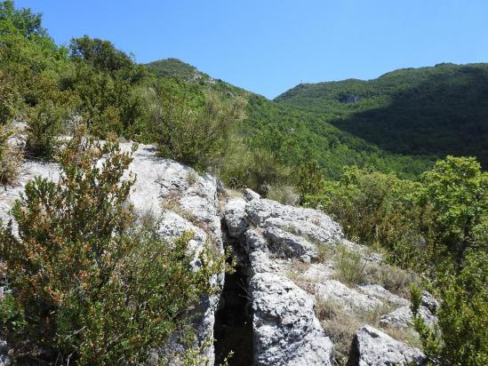 Le sentier des Avens (au fond et à gauche, le Pic de Saint-Cyr)