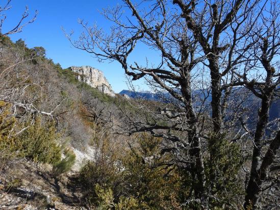 Dans la descente du Pié de Boeuf vers La Baume