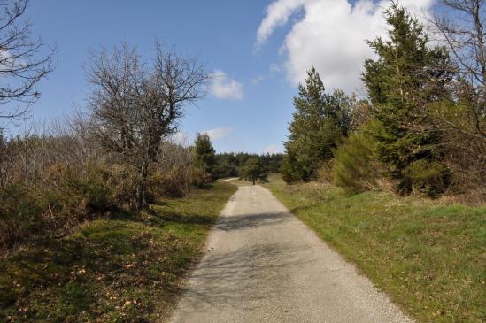 Descente du Serre de Chastelou vers le vallon du Turzon