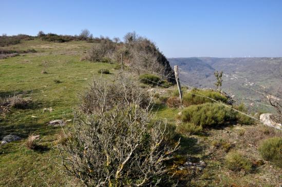 Sur les crêtes du Serre de Peruqua