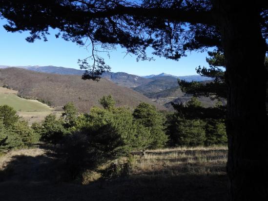 A l'approche du col d'Espréaux (au loin, La Servelle)