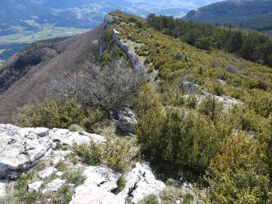 Sur les crêtes de la montagne de Beaufayn