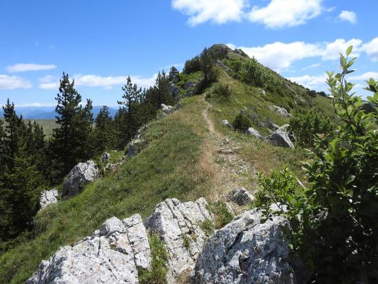 Sur la crête de la montagne de l'Aup