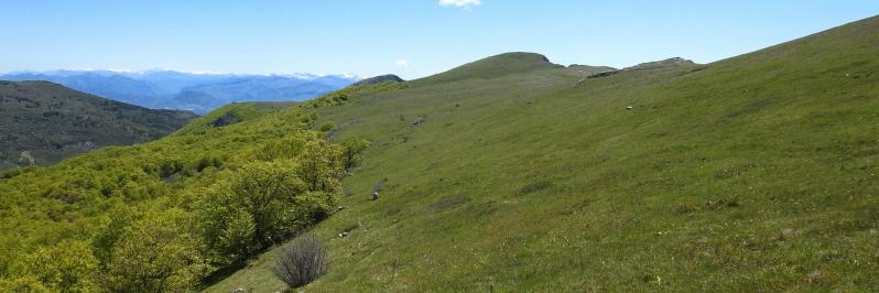 Sur la montagne de Mare