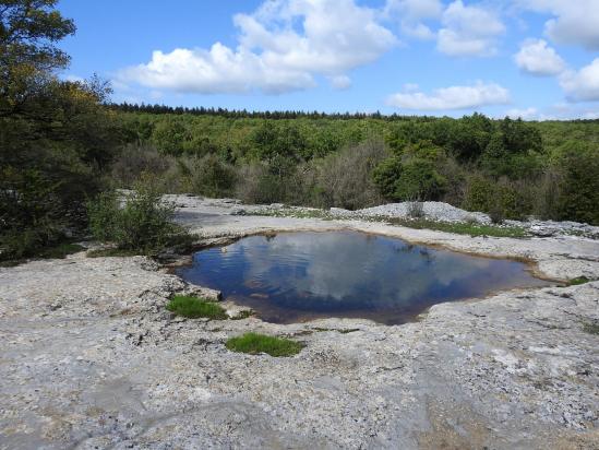 Du côté du Mas Larret, une lavogne