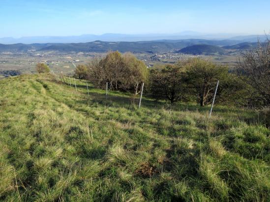 Au sommet de la Croix Juliau (panorama vers l'E sur les Préalpes drômoises)