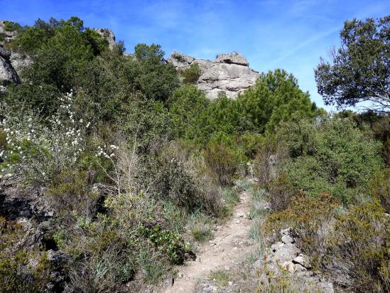 Montée vers le Roc des Aucelous