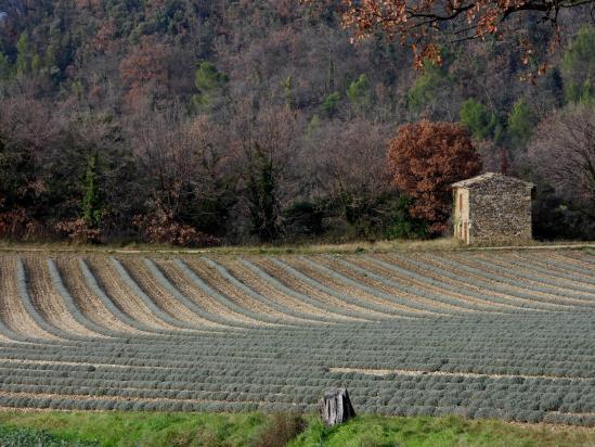 Retour vers Puy-Saint-Martin depuis Manas (les Touches)