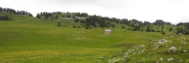 La cabane de l'Essaure