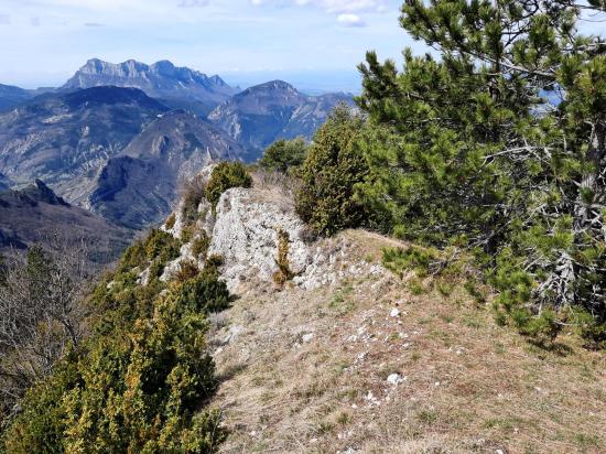 Au sommet de La Pâle (Les Trois-Becs)