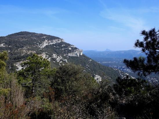 Depuis le Puech Bouissou, vue sur le Roc de la Vigne et le Pic Saint-Loup