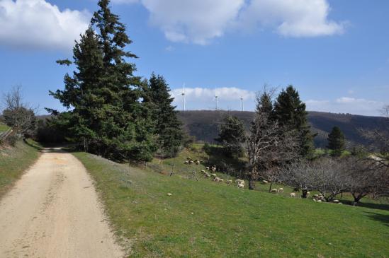 Au-dessus de Tromparent (les éoliennes du Serre de Planèze)