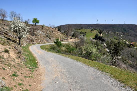 A l'approche de la ferme de Tromparent (à l'arrière, le parc d'éoliennes du Serre de Planèze)