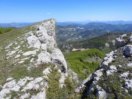 Au sommet de la montagne de Chamouse