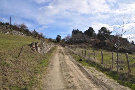 A l'approche du croisement de chemins du Serre du Buis