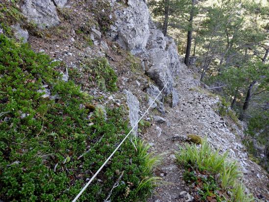 Entre Tarsimoure et le col de la Caille, descente dure dans le Bois Mol...