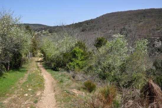 Descente de la Côte Chambon pour rejoindre le Turzon