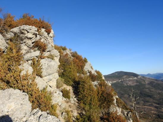 Sur la crête entre Roche Rousse et Caderousse (au fond, la montagne des Ruelles)