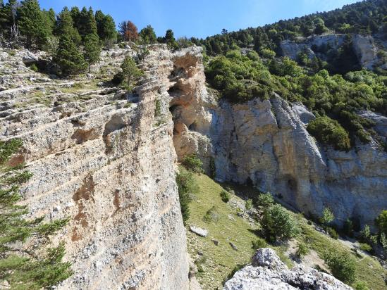 A La Palle (le Comptoir à Moutons)