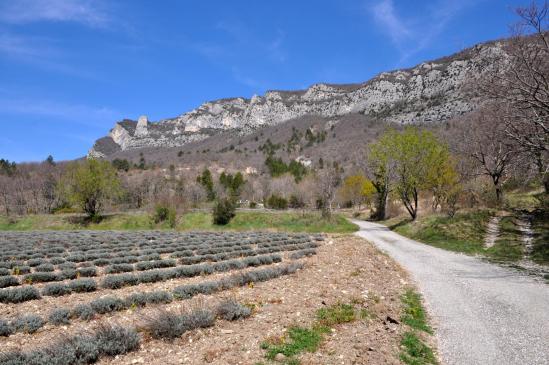 En descendant de Roche Colombe (La Poupoune)