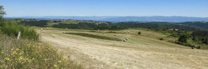 Depuis Morens, un panorama du Mont-Blanc à la montagne du Glandasse