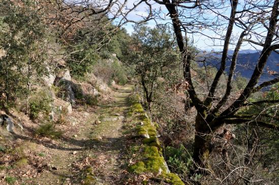 Descente sur Saint-Julien-en-Saint-Alban