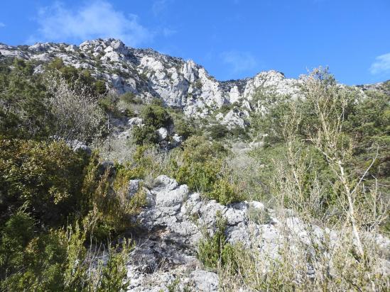 La partie haute du ravin de Charençon vu depuis la route des Crêtes à proximité du chalet de la Maline