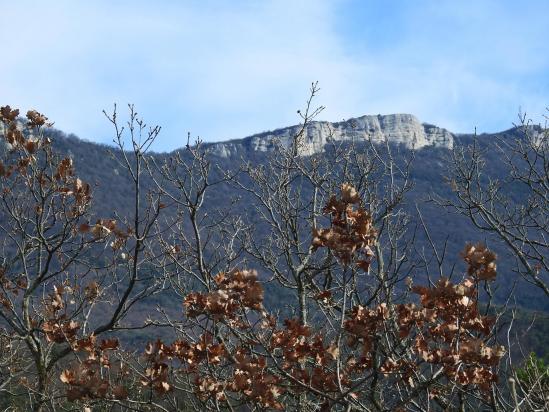 La Raye vue au travers de feuilles marcescentes du côté de Pialoux