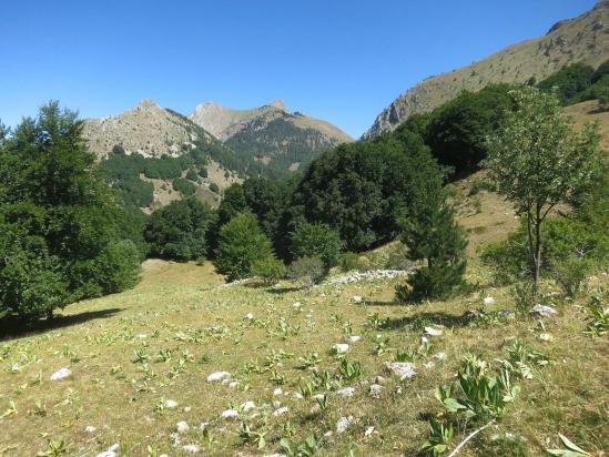 Sur le sentier de retour au col de Gleize (pic de Montclair,  pic de l'Aiguille et pic de Gleize)