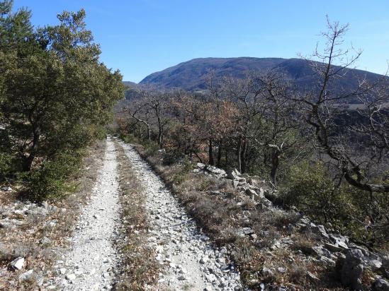 Sur la piste entre le col de Dieu-Grâce et la ferme des Fonds