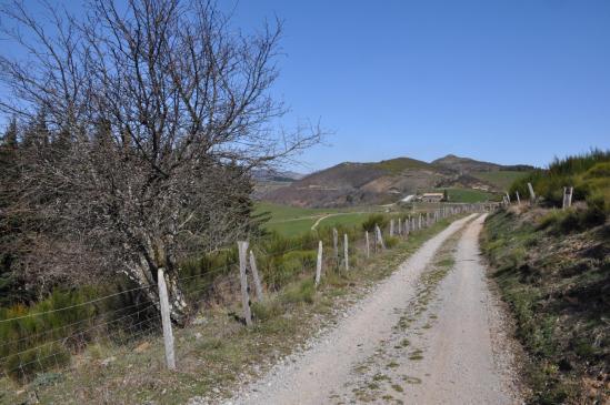 A l'approche du col de Sarrasset