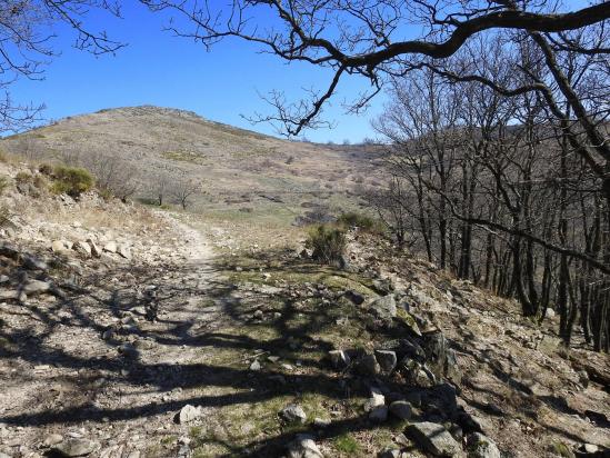 En contrebas de la ferme de l'Auriol sous le Rocher de la Table)