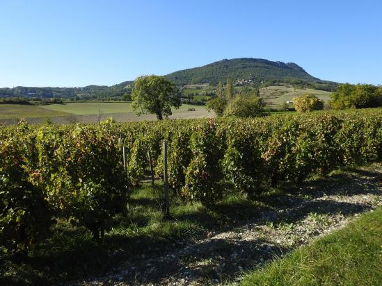 Depuis le vignoble du domaine Peylong, vue sur Saint-Pancrace