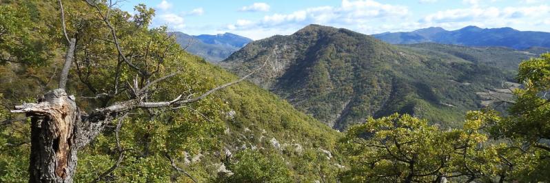 Entre le vieux village de Chaudebonne et le col Renard (serre du Pontillard)