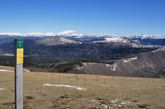 Au sommet du But Saint-Genix (1634m)