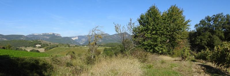 Depuis le vignoble du domaine Peylong, vue sur la haute vallée de la Gervanne