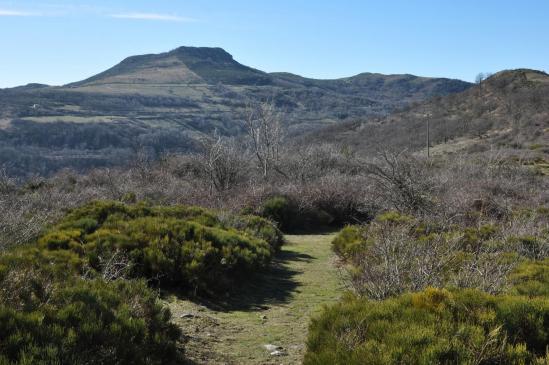 Sur les crêtes entre Les Côtes et le sommet de l'Arbanet