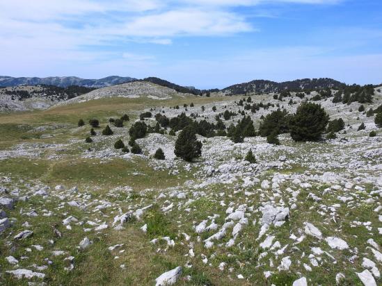 Descente vers la bergerie de Chamousset