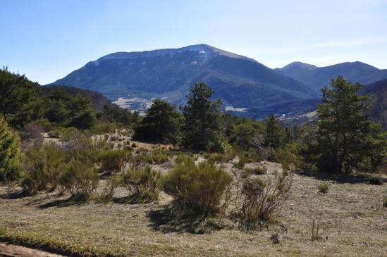 La montagne d'Angèle vue depuis le col de Muse