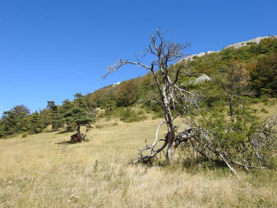 Au col de Comberoufle