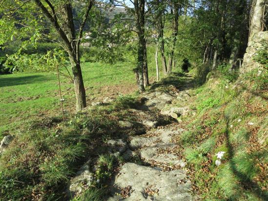 Retour sur Jaujac par le petit sentier moussu...