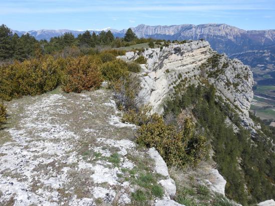 En rebord des falaises de Serre Chauviere